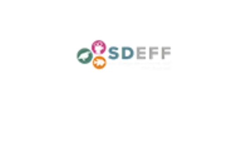 official-selection-SDEFF